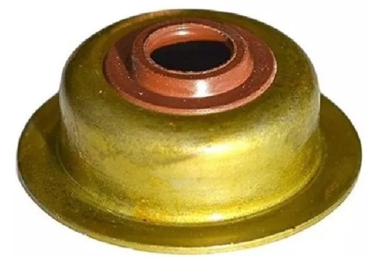 Reten Valvula 5,5-6,5 HP