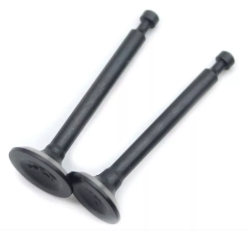 [00-00-896] Valvulas Jgo. Admision-Escape 11-13-16 HP